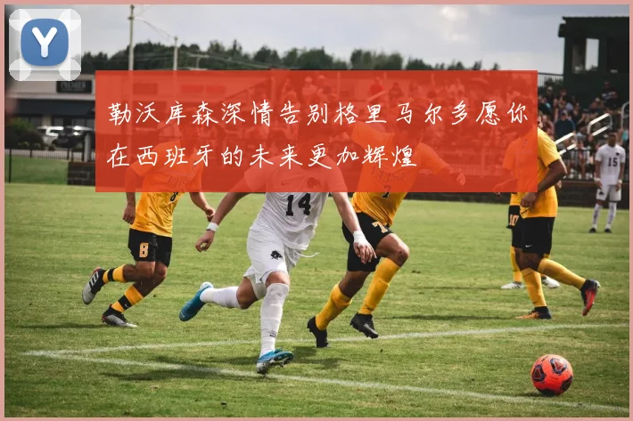 勒沃库森深情告别格里马尔多愿你在西班牙的未来更加辉煌